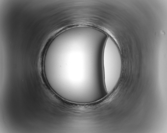 X0000088700987200705311013