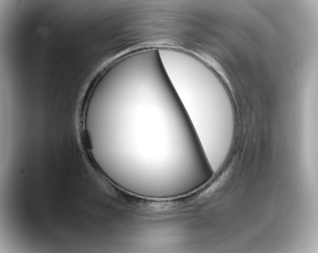 X0000088700989200705311013
