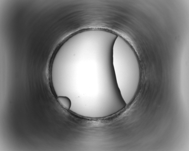 X0000088700990200705311013
