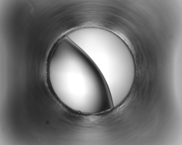 X0000088700992200705311013