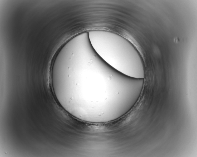X0000088700994200705311013