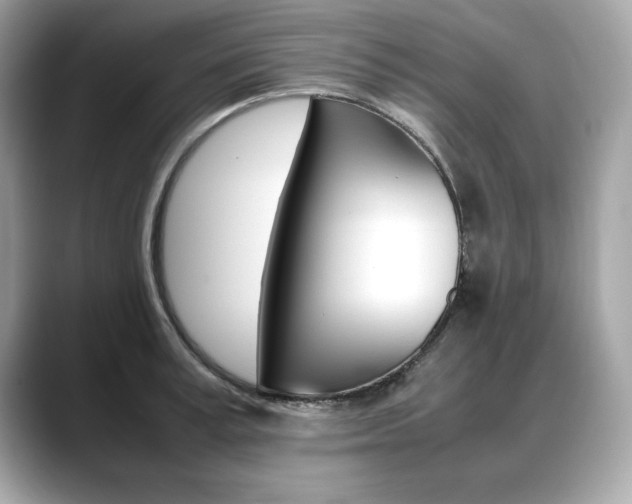 X0000088700995200705311013
