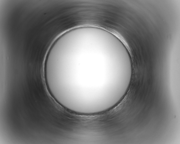 X0000088700996200705311013