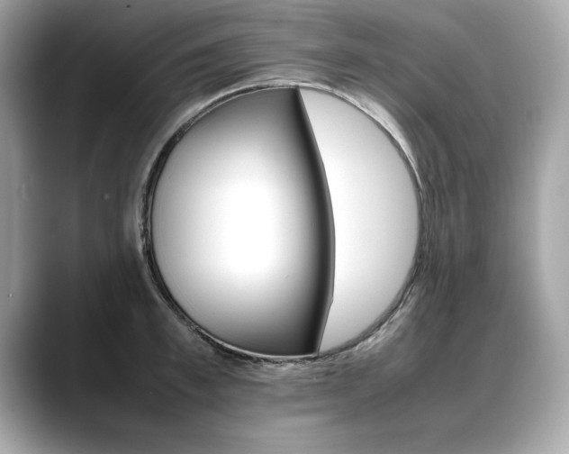 X0000088700997200705311013