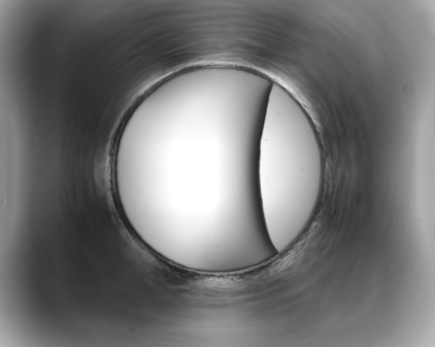 X0000088700998200705311013