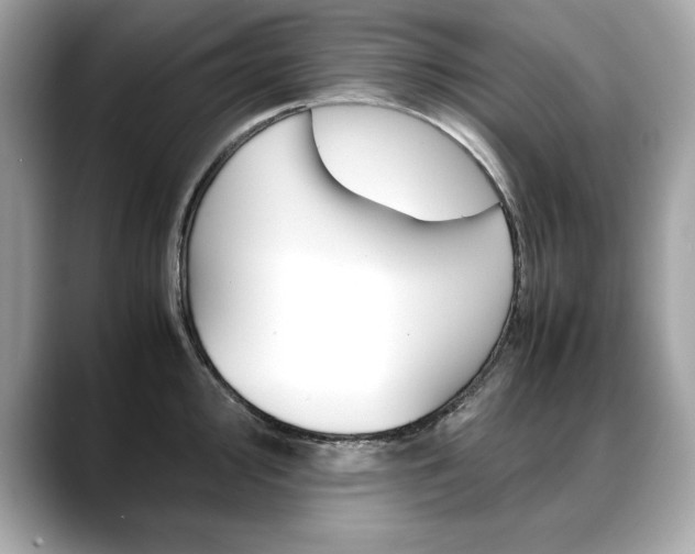 X0000088701000200705311013