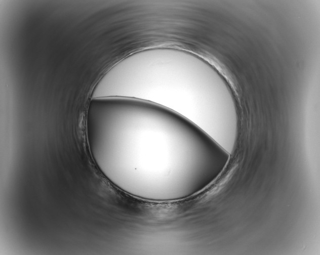 X0000088701001200705311012