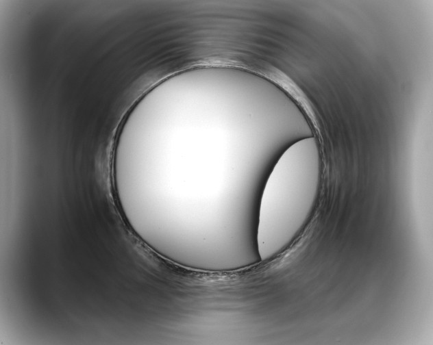 X0000088701002200705311012