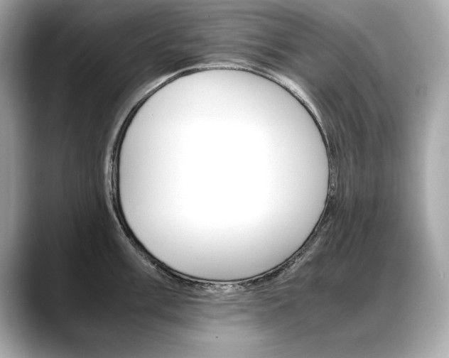 X0000088701003200705311012