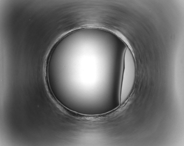 X0000088701005200705311012