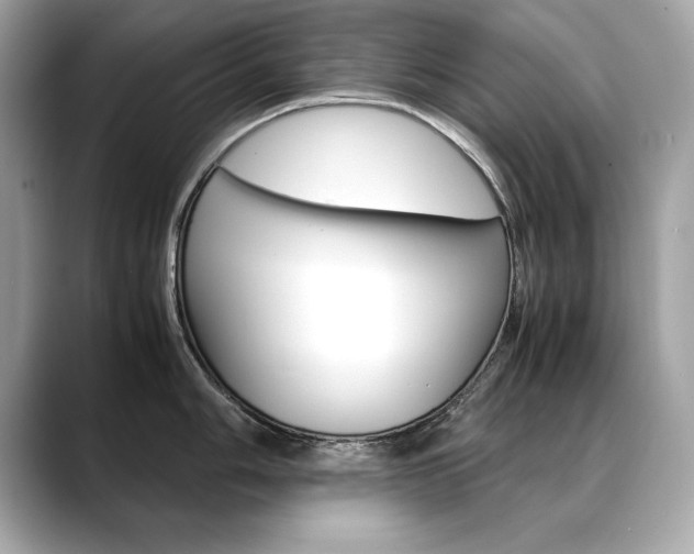 X0000088701006200705311012