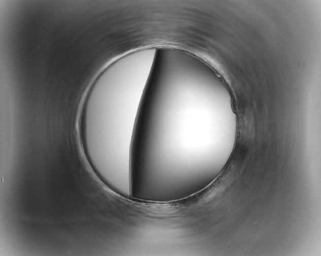 X0000088701007200705311012