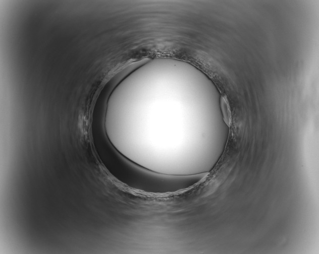 X0000088701010200705311012