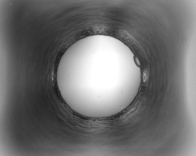 X0000088701011200705311012