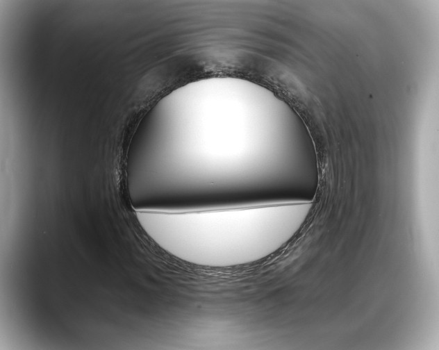 X0000088701012200705311012