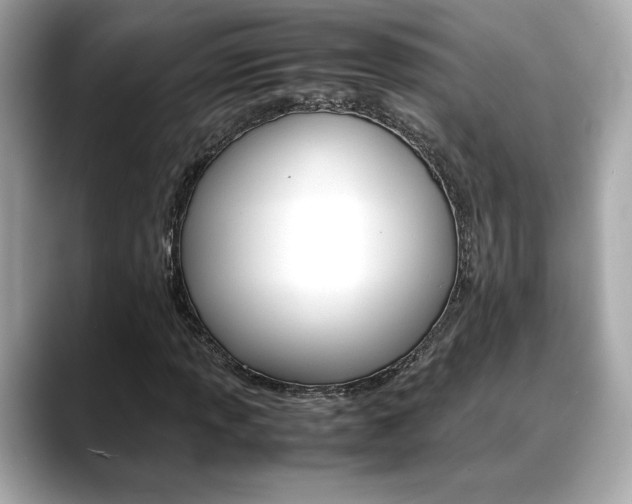 X0000088701013200705311012