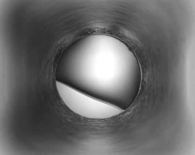 X0000088701014200705311012