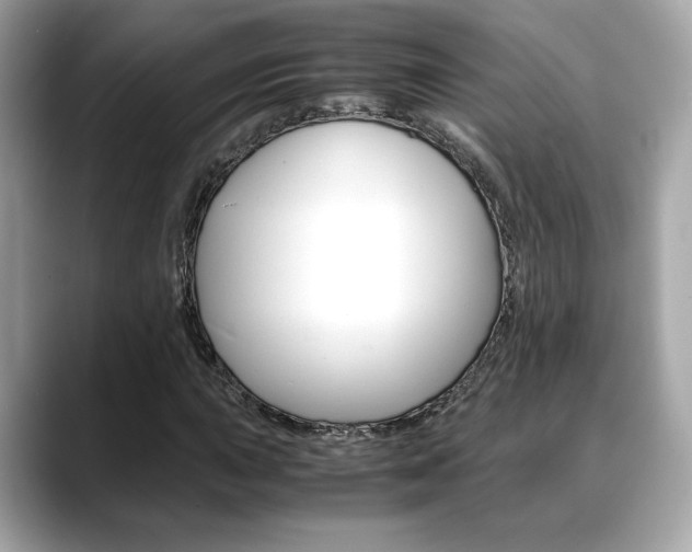 X0000088701015200705311012