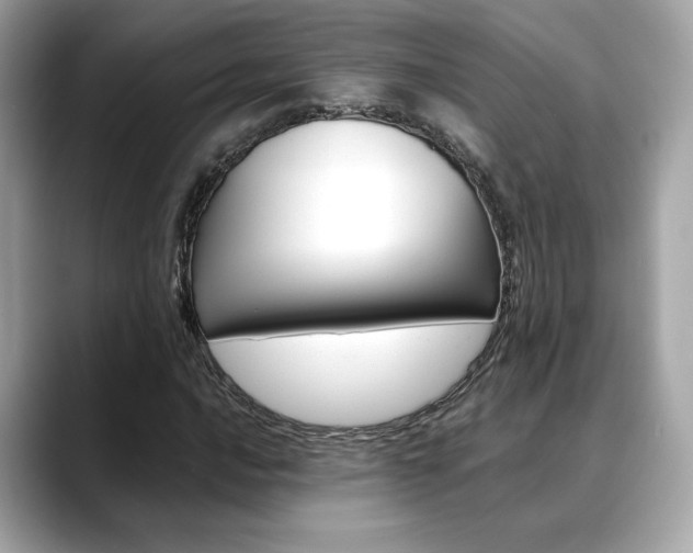 X0000088701016200705311012