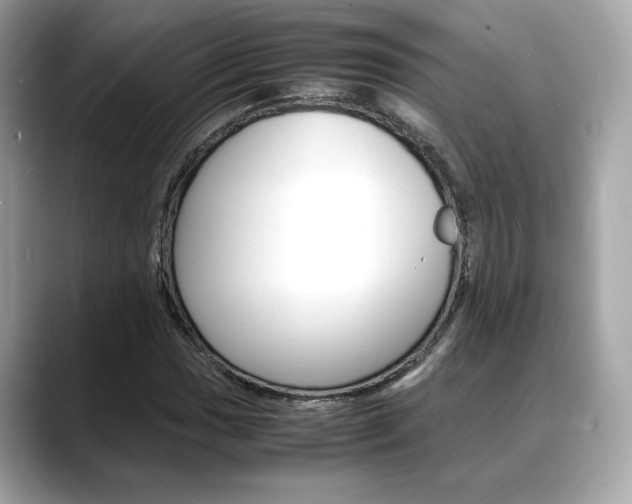 X0000088701017200705311012