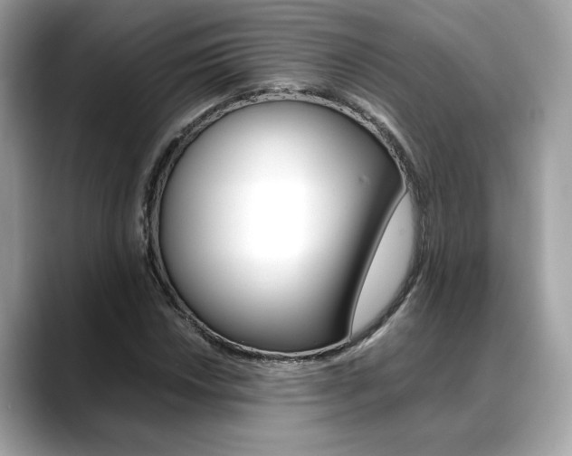X0000088701018200705311012