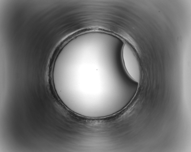 X0000088701020200705311012