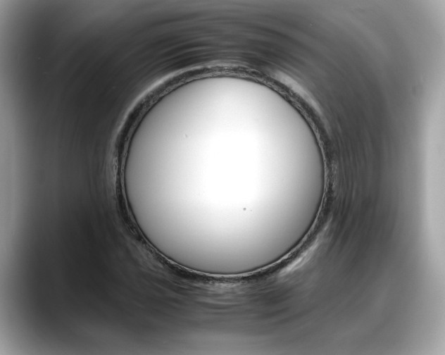 X0000088701021200705311012