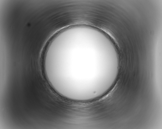 X0000088701022200705311012