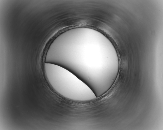 X0000088701023200705311012