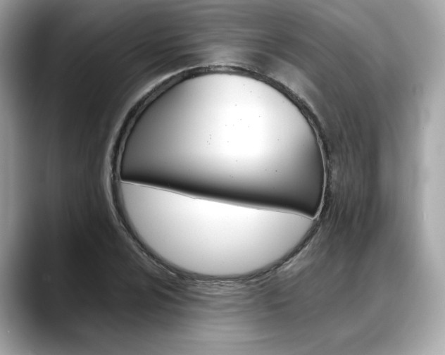 X0000088701024200705311012