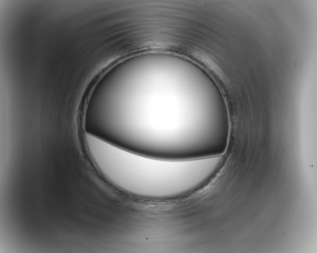 X0000088701026200705311012