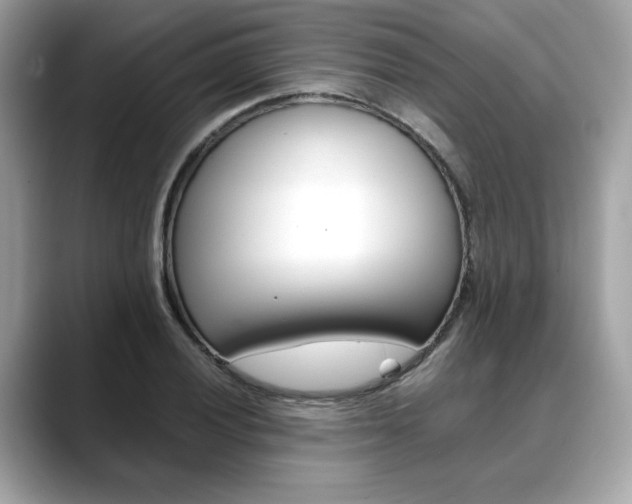 X0000088701028200705311012