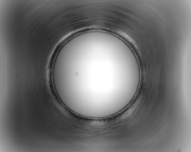 X0000088701029200705311012