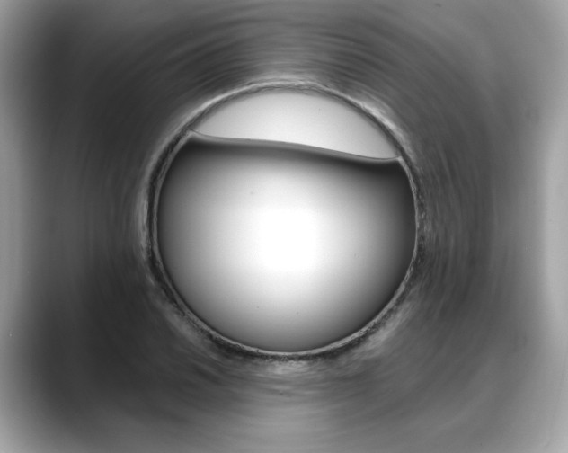 X0000088701030200705311012