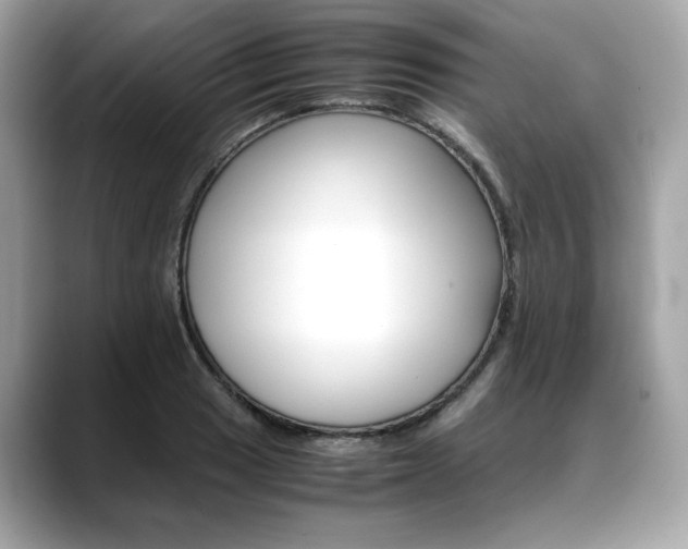 X0000088701033200705311012