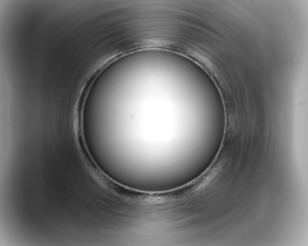 X0000088701034200705311012