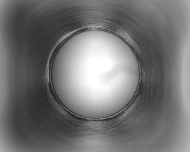 X0000088701036200705311012
