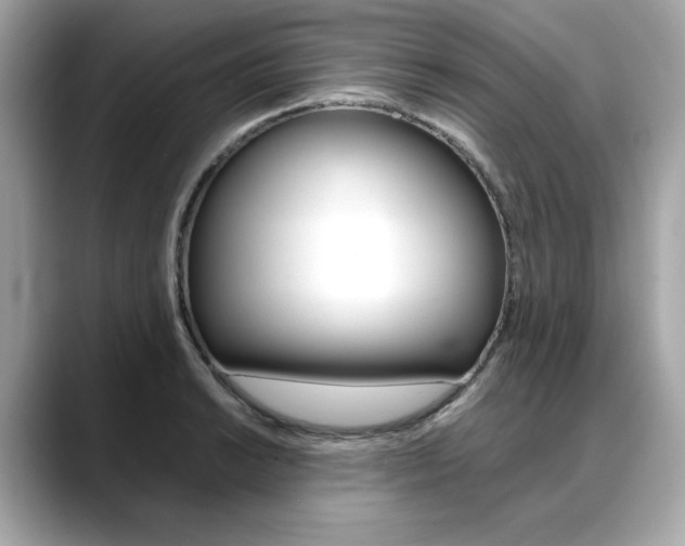 X0000088701038200705311012