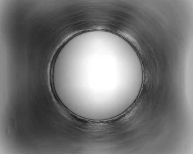 X0000088701039200705311012