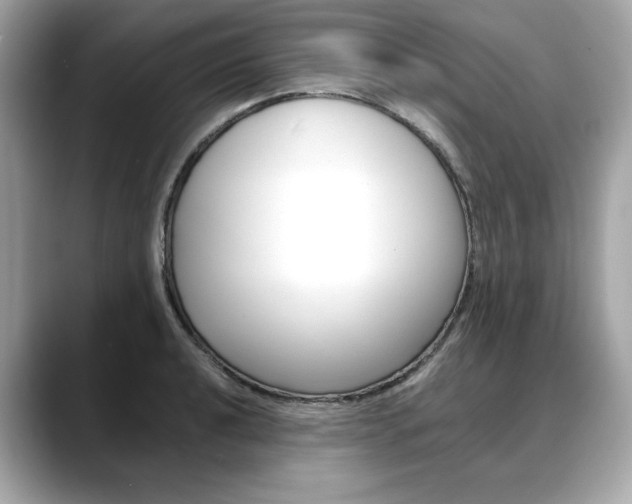 X0000088701040200705311012