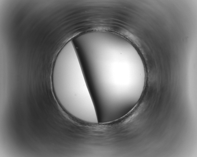 X0000088701041200705311012