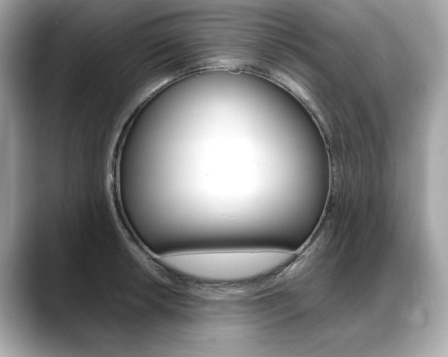 X0000088701042200705311012