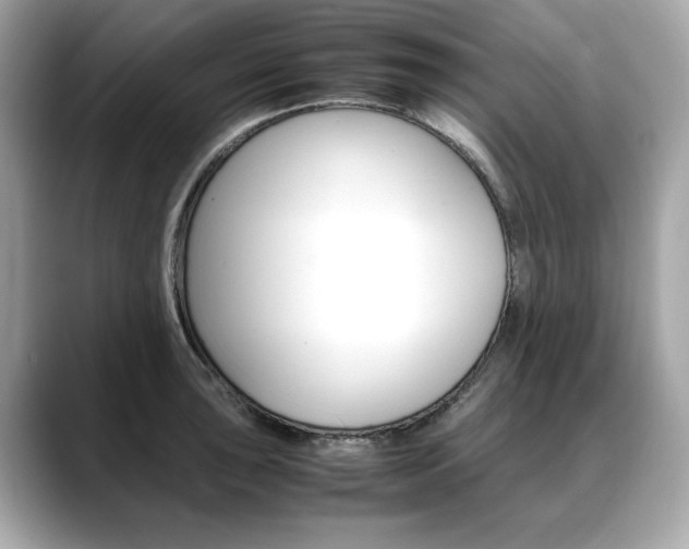 X0000088701043200705311012