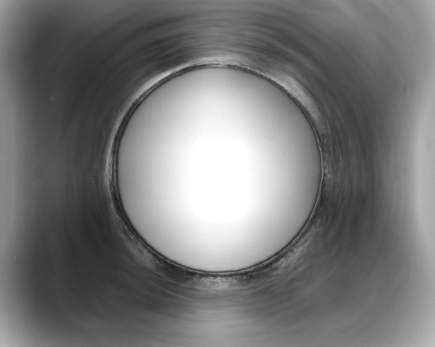 X0000088701044200705311012