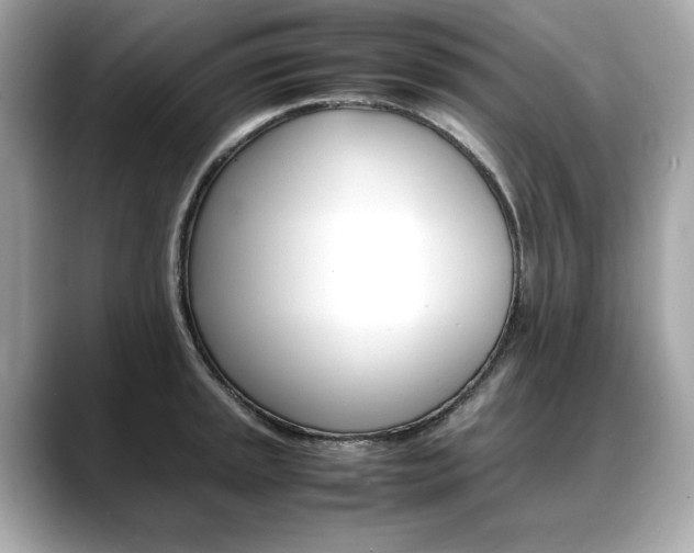 X0000088701045200705311012