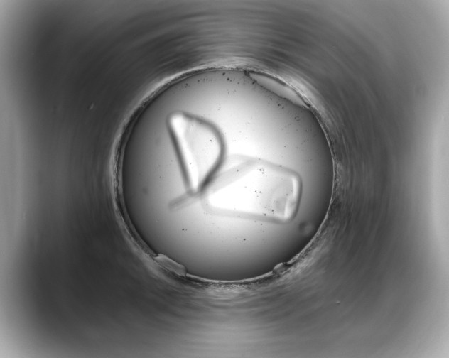 X0000088701046200705311012