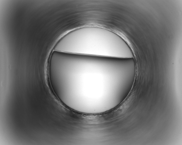 X0000088701048200705311012