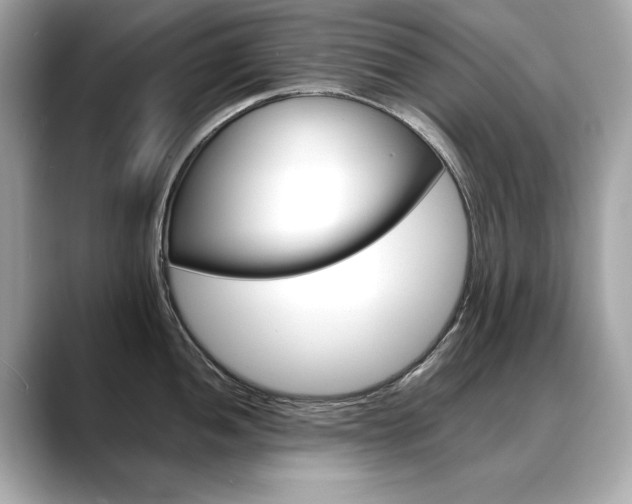 X0000088701052200705311012