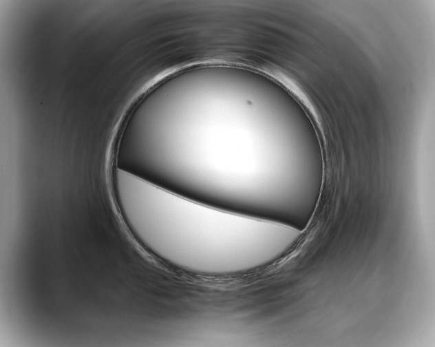 X0000088701053200705311012
