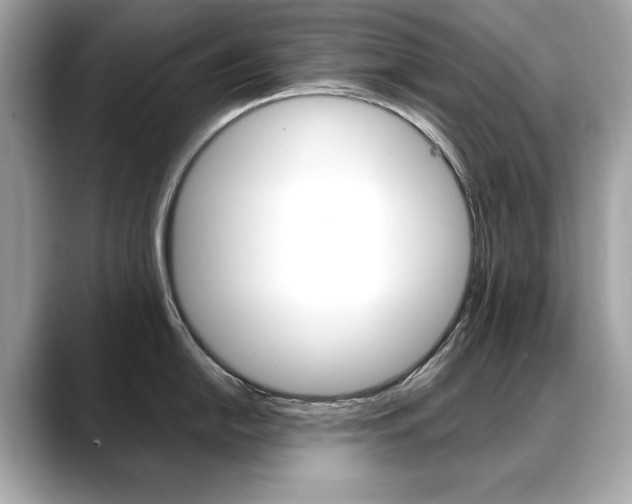 X0000088701054200705311012